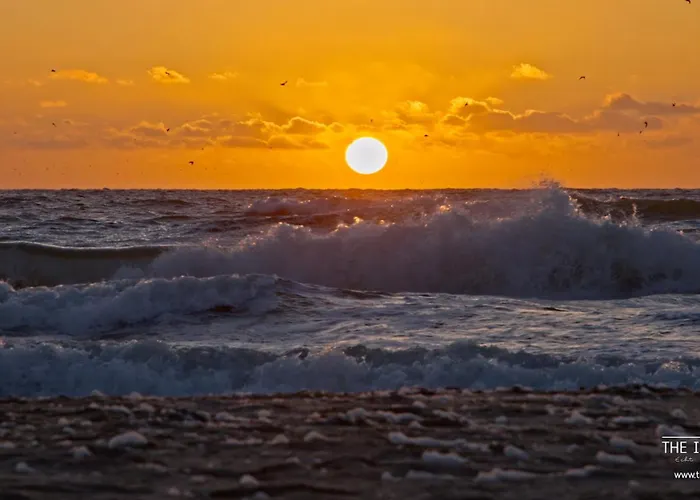 Theislandlife Texel - Wellness, Sauna, Jacuzzi, Massage De Koog