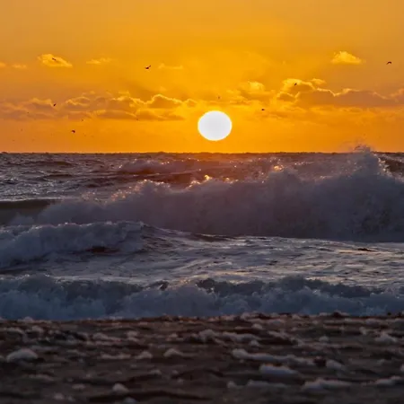 Theislandlife Texel - Wellness, Sauna, Jacuzzi, Massage Де-Коог